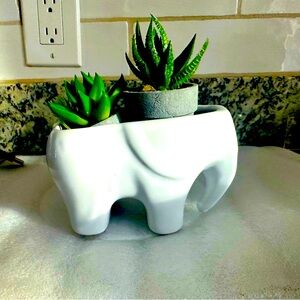 White Elephant Planter with Succulents